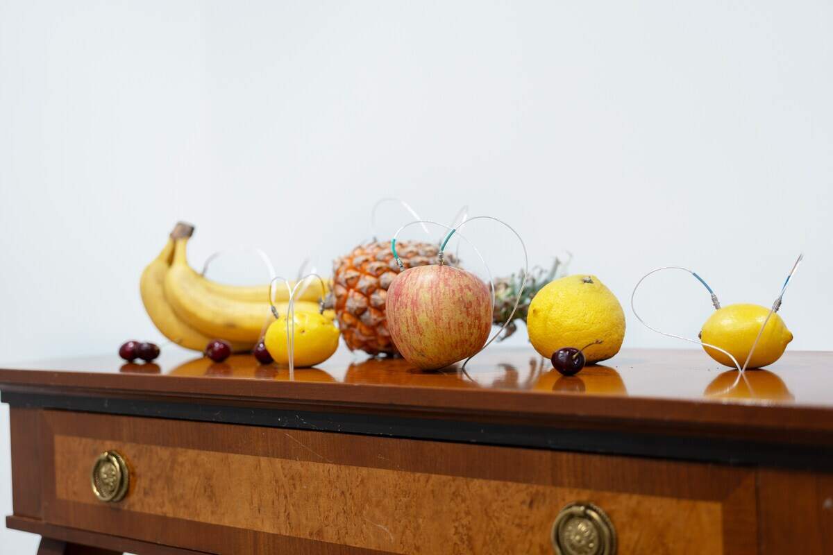 Yuko Mohri’s installation “Decomposition,” 2024. Installation includes a vintage table, speakers, lights, 5 channel audio generated by fruits, and 5 LED lights dimmed by fruits. Photography by Koshiro Shikine. Courtesy of the artist and Tanya Bonakdar Gallery, New York.